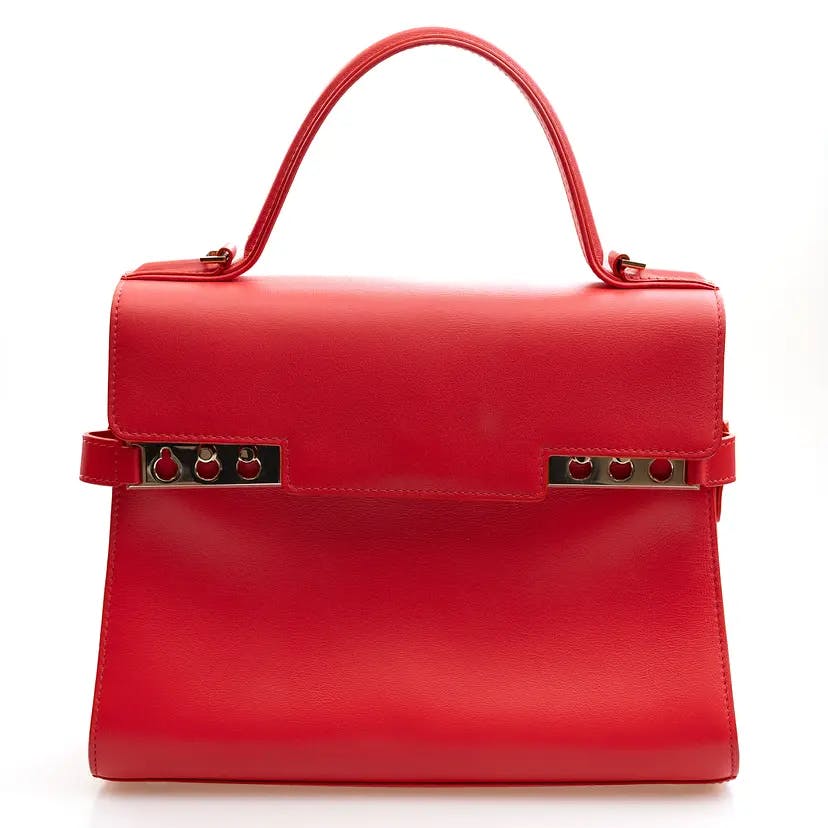 DELVAUX DELVAUX タンペートMM レッド カーフスキンの写真